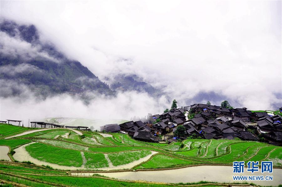 #�����B(t��i)����1����������