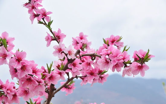 ����������(g��)�Ʋ�������һ�����