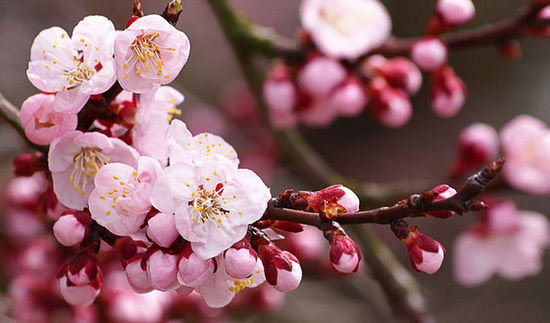 ����������(g��)�Ʋ�������һ�����