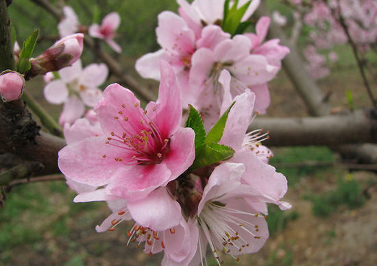 ����������(g��)�Ʋ�������һ�����