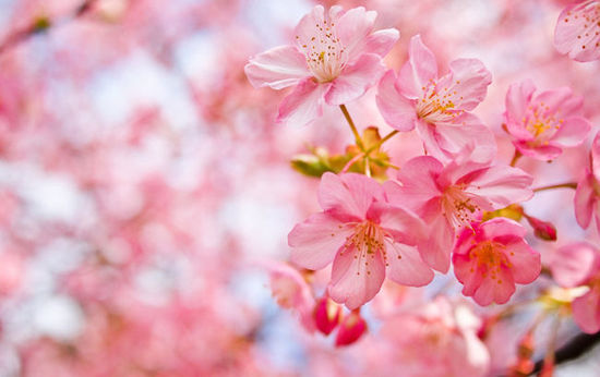 ����������(g��)�Ʋ�������һ�����