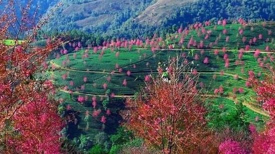 Ԕ����B���ںܶ෽�棬���ϵĴ���������ʿ�ǳ�������ͬ�ӵĚ��ͬ�ӵ�1960�׺��θ߶���ͬ�ӵ���ɽ��ˮ�ĵ��Σ�ͬ���峺�ă�ꑺ���ͬ���ۂ���ɽ������ǰ��