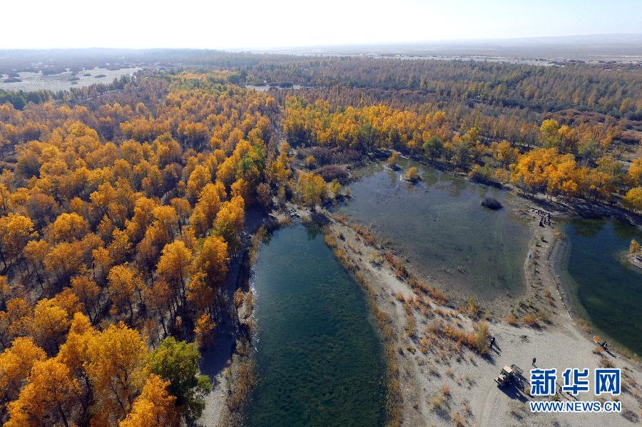 �������Ї�����1���͵�����ɳĮ���