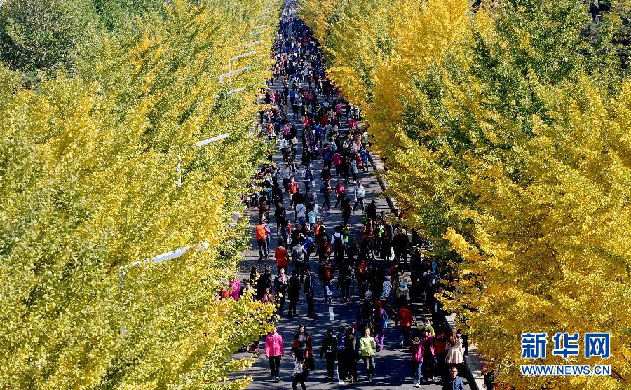 #���������6������r(n��ng)���y�ӽ��S������