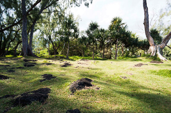 ������������������ɽ�u