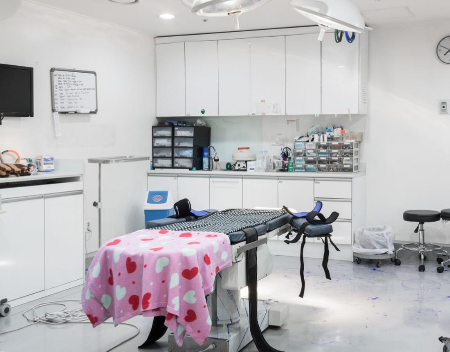 �n���zӰ��̽���n�����t(y��)Ժ��(n��i)��