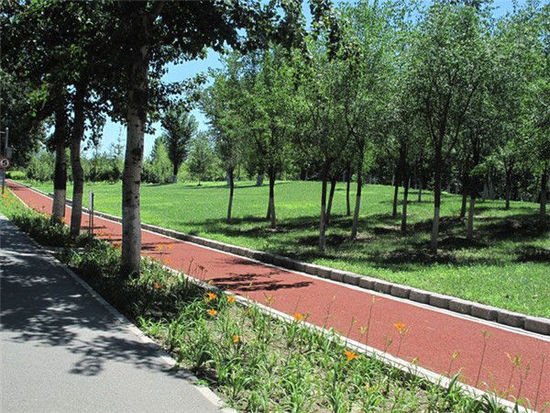 �ڴ󱱾������T�еľG�� �s�᣿