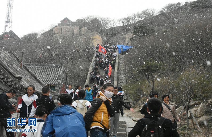 �����̩ɽͻ������ѩ