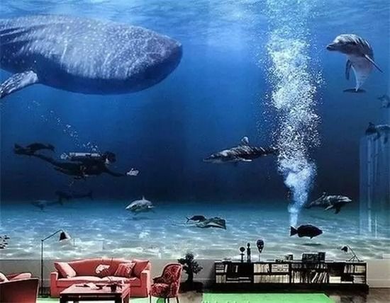 ���V�����缉(j��)����������λ��X����