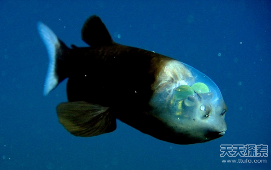 ���@���ѣ���������Ԏ�صĶ�ʮ��N���ׄ���