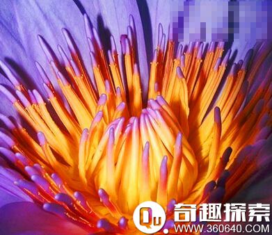 ���������F�Ļ� ʷ�����F�Ļ�˯��ɏ