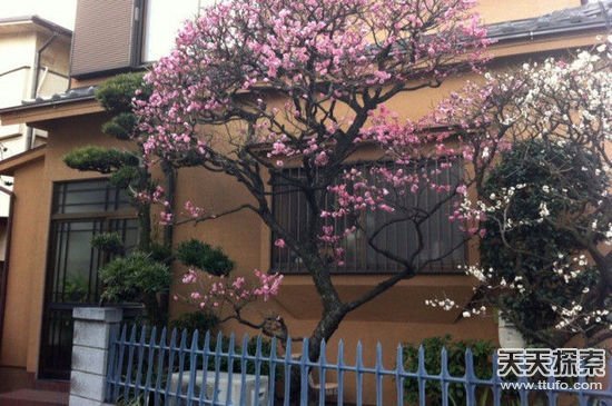 ����˼�h���ձ�׌������@�@��28��(g��)��(x��)�T