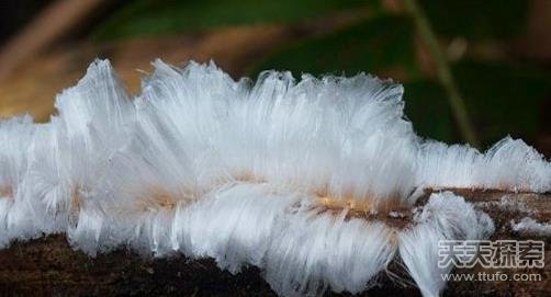 25̎������Ȼ���^���^��׌��һ�δ���۸�