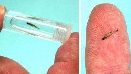 10��(g��)��������С�Ė|�|��Ҋ�^9���׵�̩����ô��