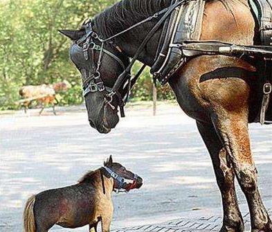 10��(g��)��������С�Ė|�|��Ҋ�^9���׵�̩����ô��