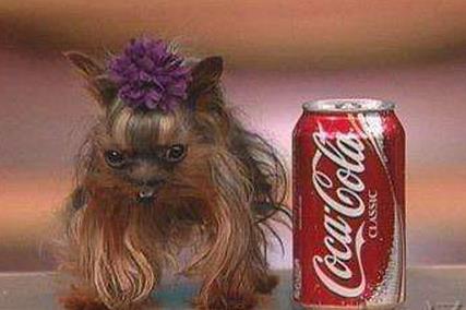 10��(g��)��������С�Ė|�|��Ҋ�^9���׵�̩����ô��