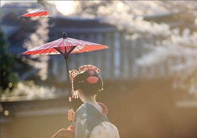 30���D�����˽��挍(sh��)���ձ����� ̫����