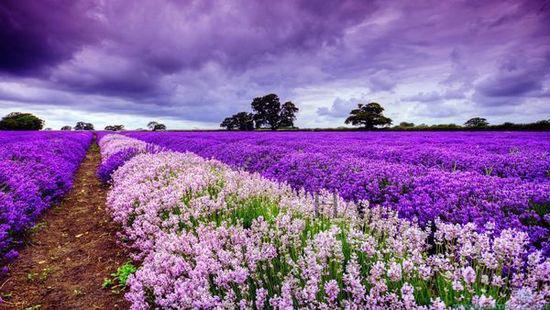 ������������10�󻨺������_��˹��޹�²���ʢ�_