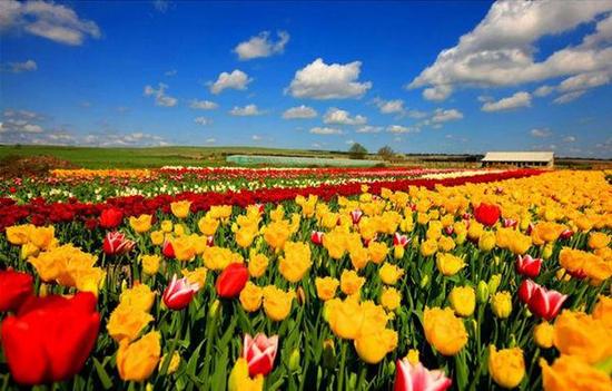 �����ǵϰݣ��P�c(di��n)������10����Ї���