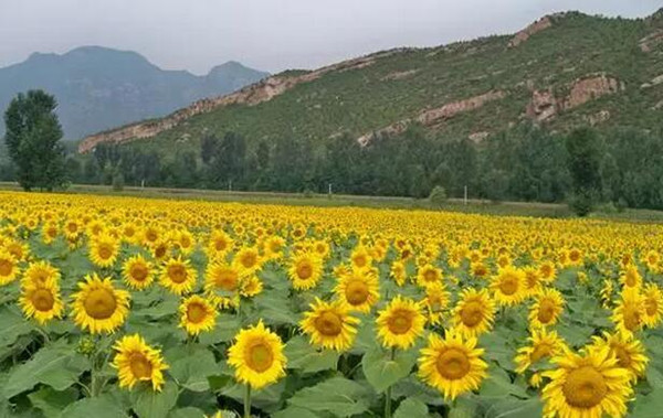 �����h(yu��n)�� ��կ��һ�ӵ�����������ǰ