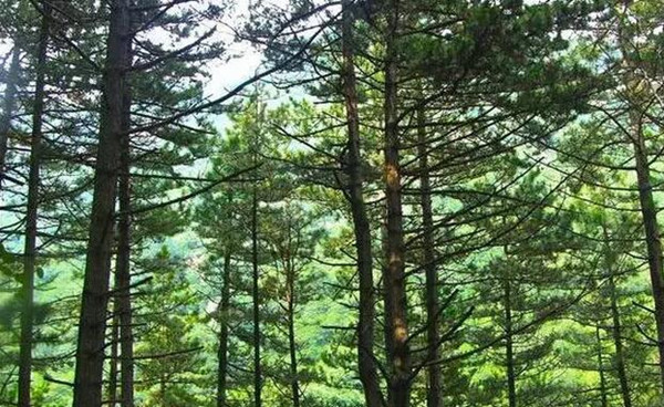 �����h(yu��n)�� ��կ��һ�ӵ�����������ǰ