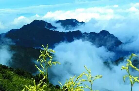 �����h(yu��n)�� ��կ��һ�ӵ�����������ǰ