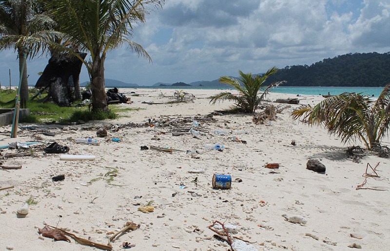 Ӣ��D̩�����α��� ���˺��u׃�����u