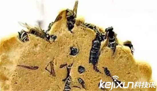 ��������ڰ������󼯺� ȫ�̸������c!