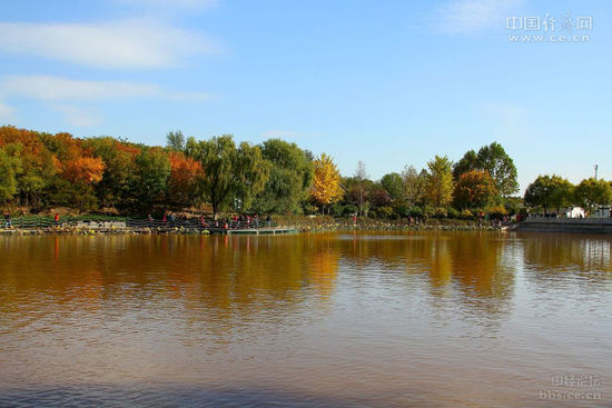 �D�鱱�m����ɭ�ֹ��@�ȵ�ͤ�_�����н��W�ѡ��������¡��z��