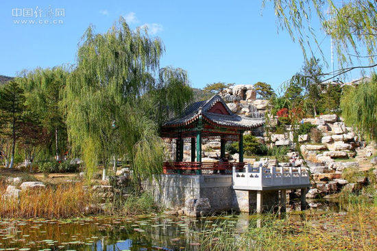 �D�鱱�m����ɭ�ֹ��@�ȵą��������н��W�ѡ��������¡��z��