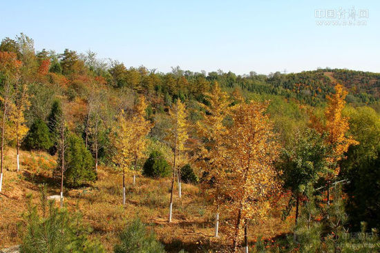 �D�鱱�m����ɭ�ֹ��@�ȵļt�~�����н��W�ѡ��������¡��z��