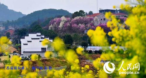 ��Ѩ�Ͳ˻�����