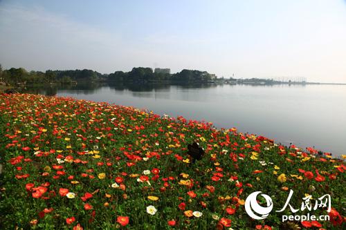 ��������������ü֮�����ɫ