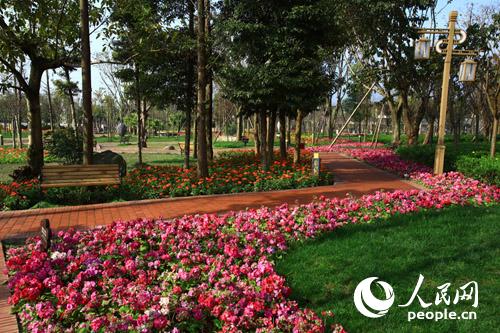 ��������������ü֮�����ɫ