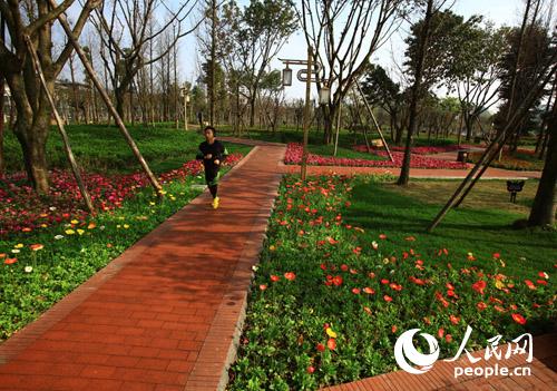 ��������������ü֮�����ɫ