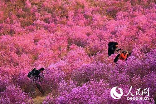 ���N����