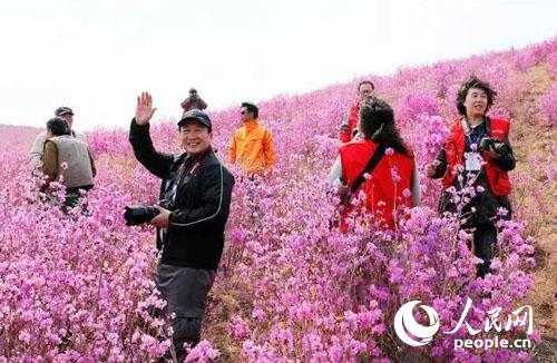 �ο��������N������