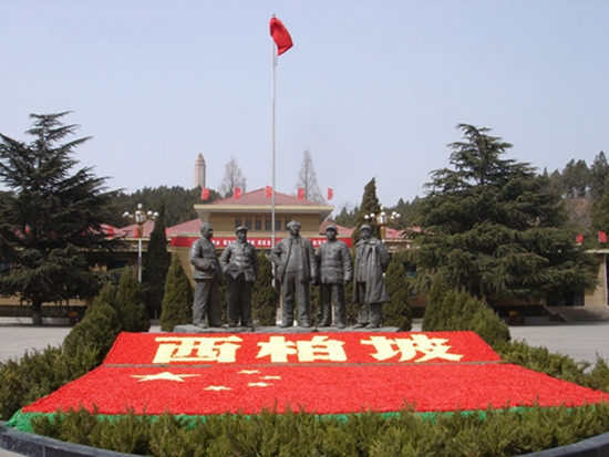 �����������DƬ��Դ���ӱ������YӍ�W(w��ng)��