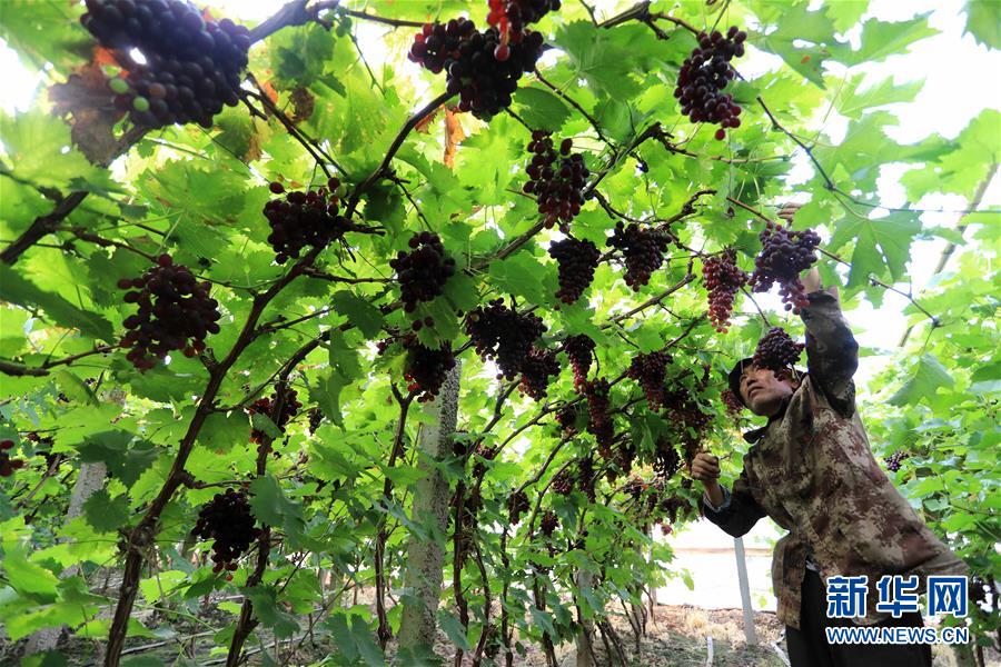 #����(j��ng)��(j��)����2�����Ą�(w��)�r(n��ng)æ