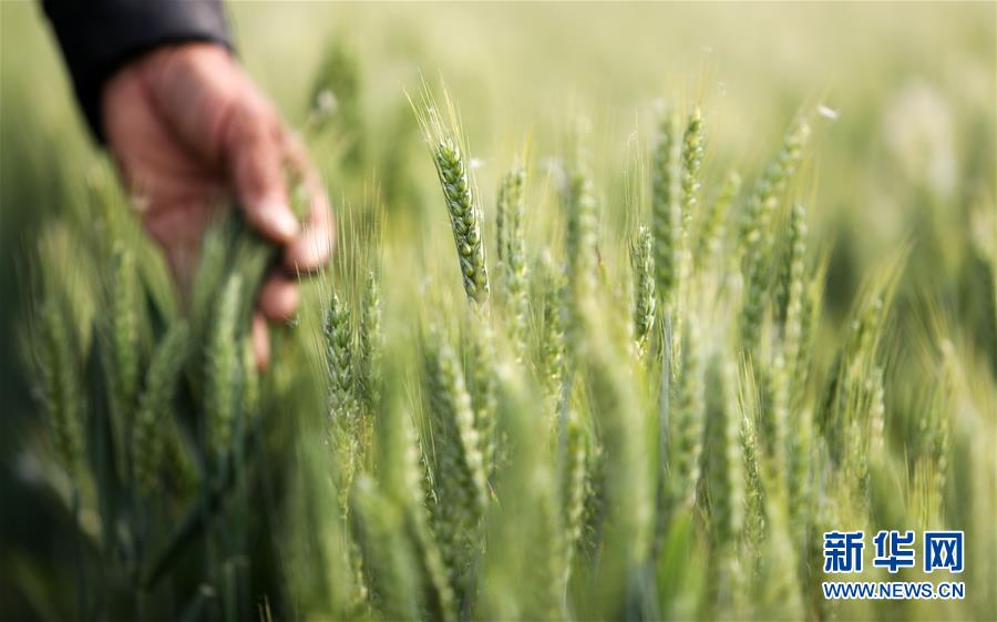 #����(j��ng)��(j��)����4�����Ą�(w��)�r(n��ng)æ