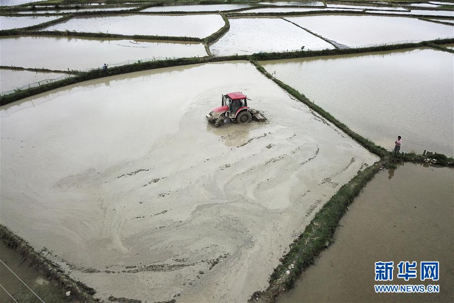 #����(j��ng)��(j��)����3�����Ą�(w��)�r(n��ng)æ