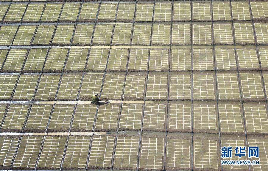 #����(j��ng)��(j��)����5�����Ą�(w��)�r(n��ng)æ