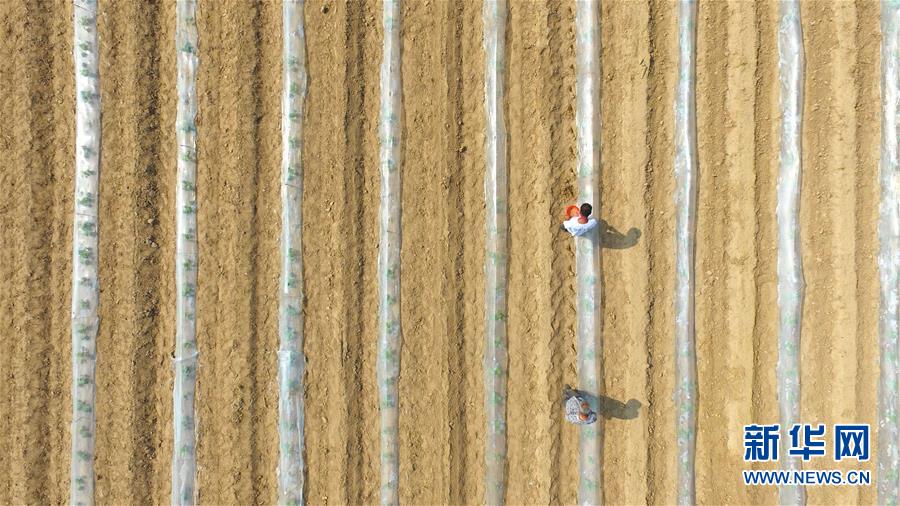 #����(j��ng)��(j��)����6�����Ą�(w��)�r(n��ng)æ