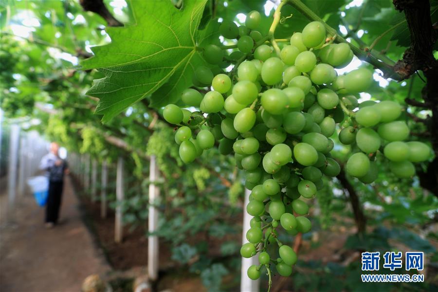 #����(j��ng)��(j��)����1�����Ą�(w��)�r(n��ng)æ