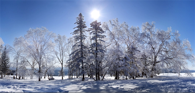 �ֺ�ѩԭ�L(f��ng)����