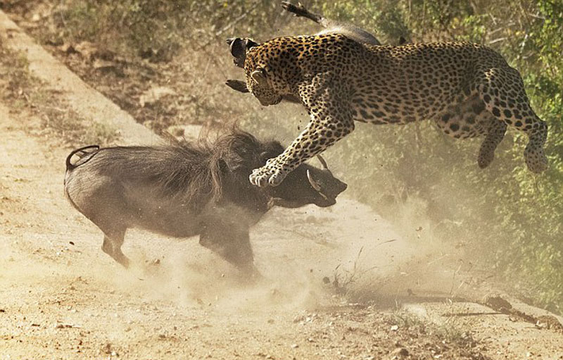 �DƬĬ�J���}