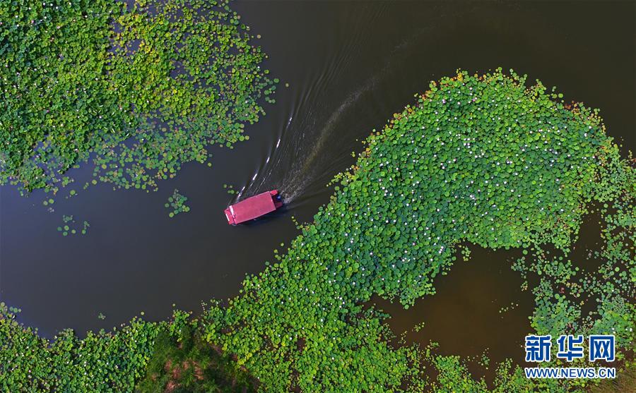 #�����B(t��i)����1���f���ɻ��`��ɽ�|�_(t��i)���f�\(y��n)�ӝ��