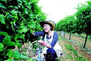 ��ժ�@��(n��i)�x�߸��ܵ��˲�ժ�Ę�Ȥ��