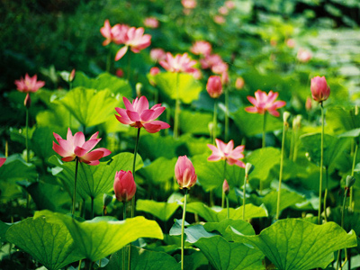 �A������