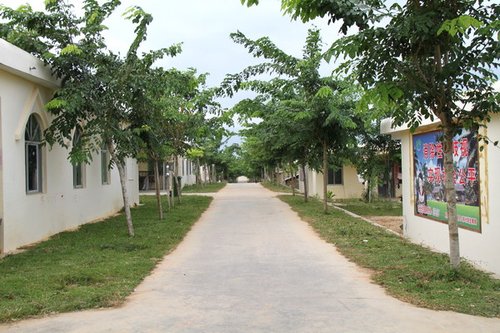 ��(l��)�|��ò